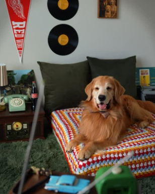 Tucker lounging like a legend