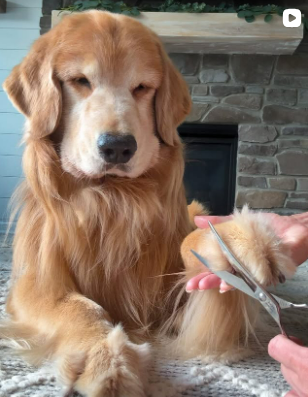 Tucker at the spa