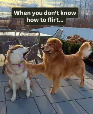 Tucker making friends